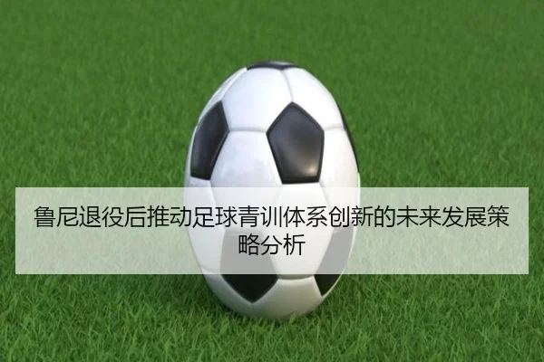 鲁尼退役后推动足球青训体系创新的未来发展策略分析
